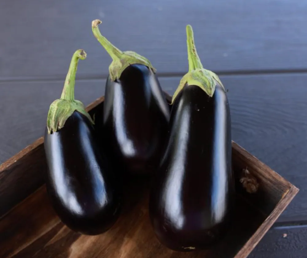 Melanzane — La Bottega nell’Orto