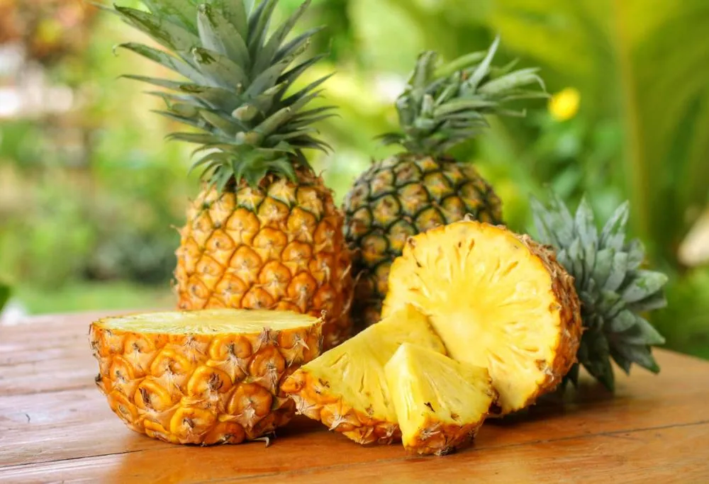 Ananas — La Bottega nell’Orto